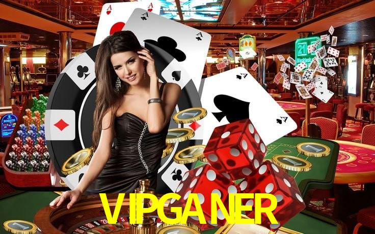 VIPGANER Arcade